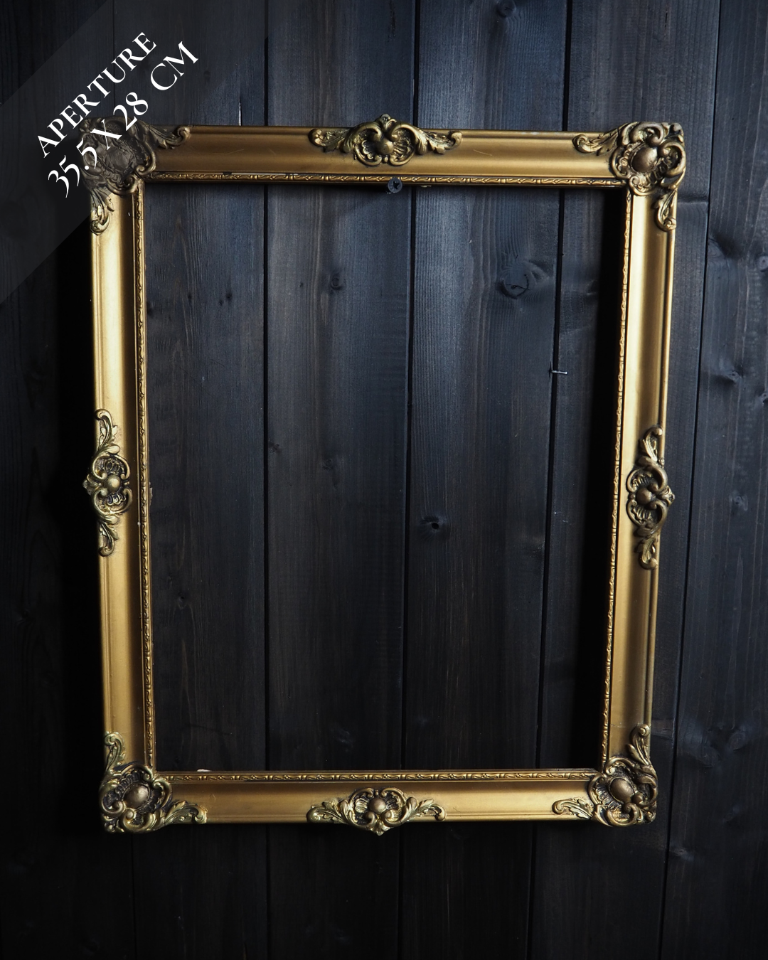 The European Grandeur – Hungarian Ornate Slim Gilt Frame