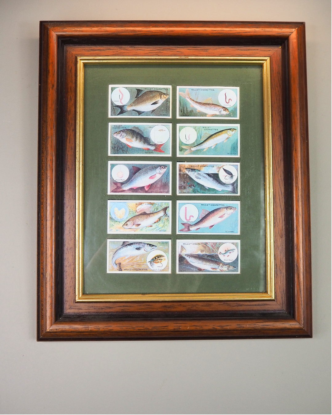 Mounted Collection of Wills Cigarette Cards in Wooden Frame