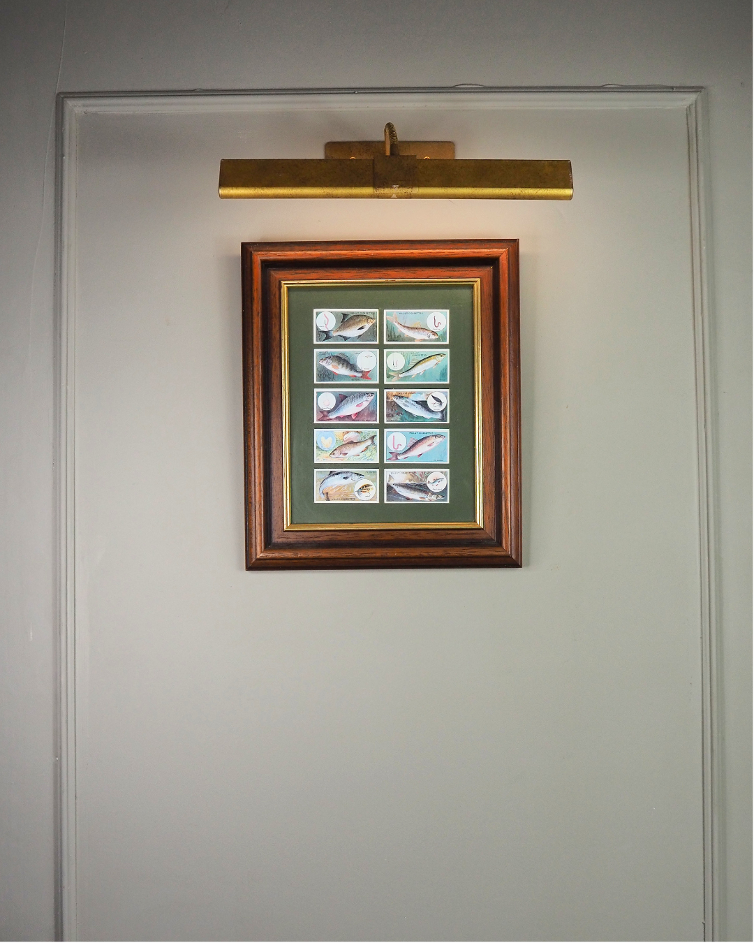 Mounted Collection of Wills Cigarette Cards in Wooden Frame