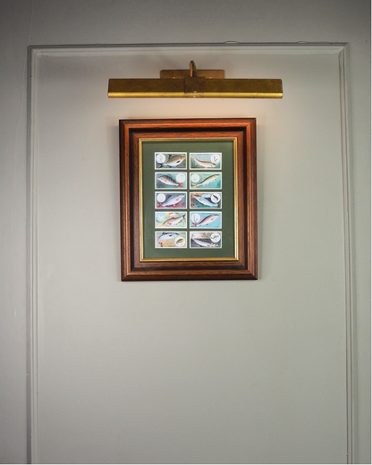 Mounted Collection of Wills Cigarette Cards in Wooden Frame