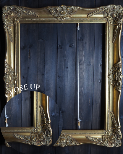 The Czech Royalty - Vintage Gold Chippendale Frame Collection B