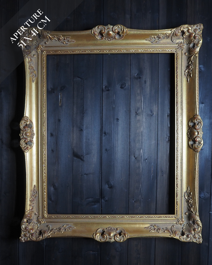 The Czech Royalty - Vintage Gold Chippendale Frame Collection C
