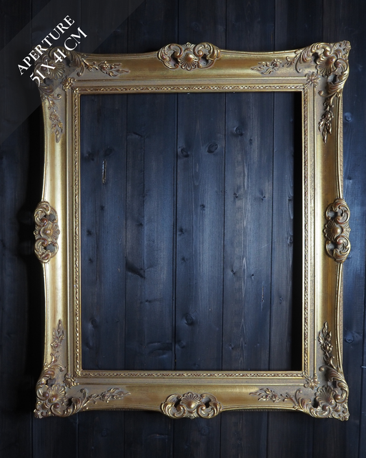 The Czech Royalty - Vintage Gold Chippendale Frame Collection C