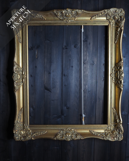 The Czech Royalty - Vintage Gold Chippendale Frame Collection B