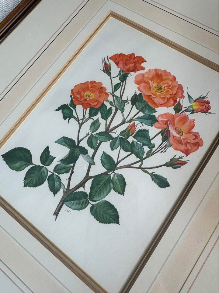 Vintage Signed Print Art Set in Matching Wooden Glazed Frame Pair