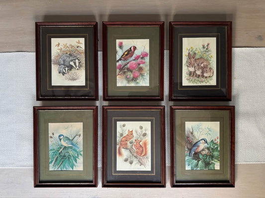 Vintage Gallery Wall Set - Animal art & prints in matching frames ( x 6)
