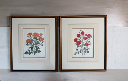 Vintage Signed Print Art Set in Matching Wooden Glazed Frame Pair