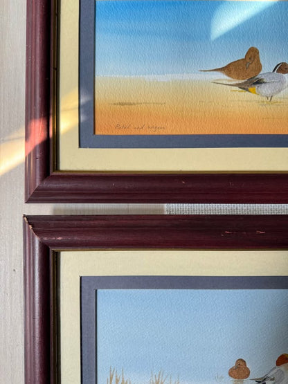 “Pintails in Poise” – Original Watercolour Pair by M.S. Wakefield