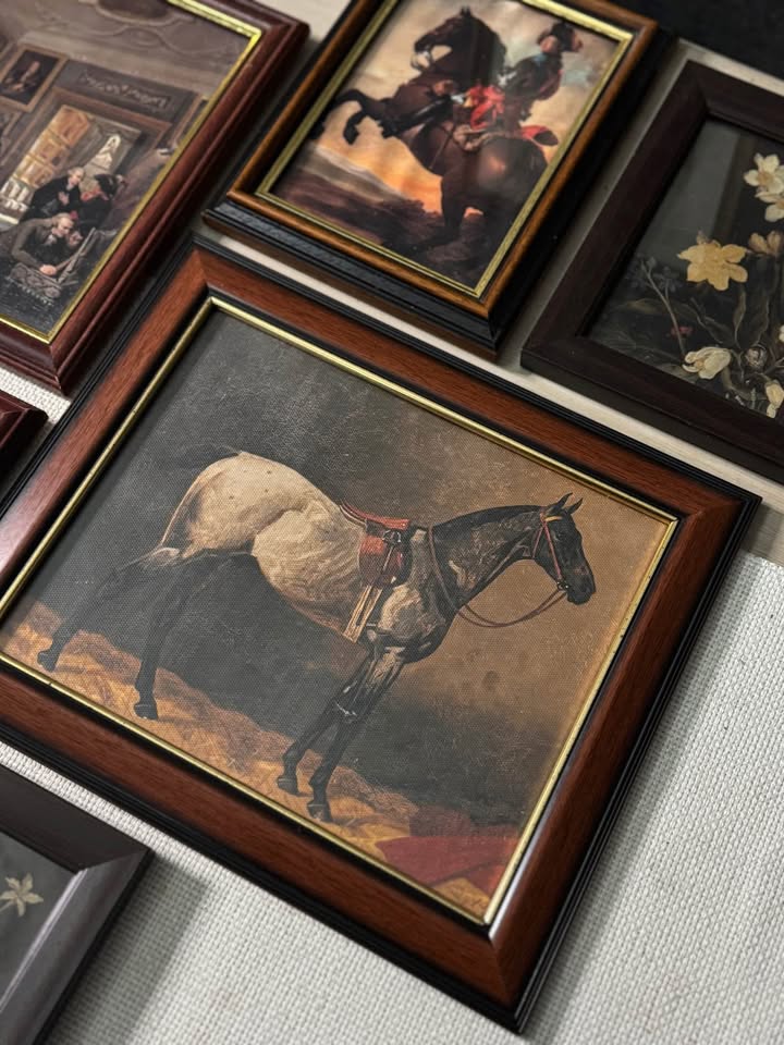 Vintage Victorian Themed Gallery Wall Set : Prints + Mix of Mahogany Frames ( x10 )