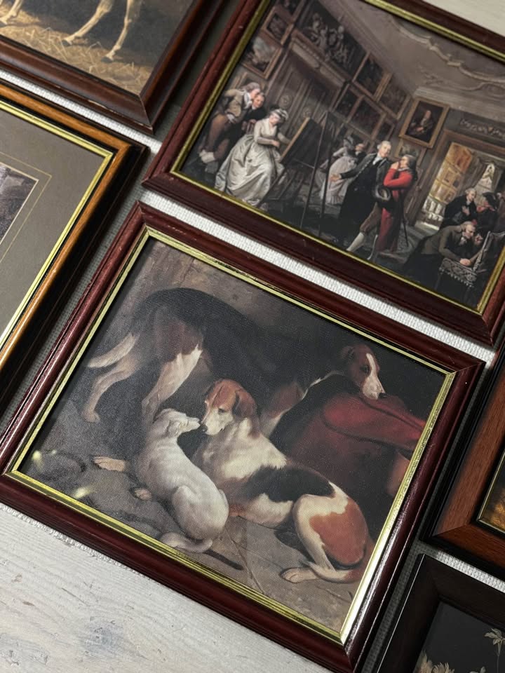 Vintage Victorian Themed Gallery Wall Set : Prints + Mix of Mahogany Frames ( x10 )