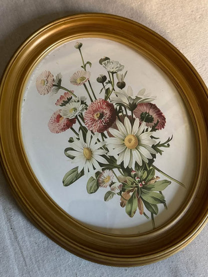 Vintage Inspired Matching Gold Acrylic Oval Frame Set with Prints - Pair