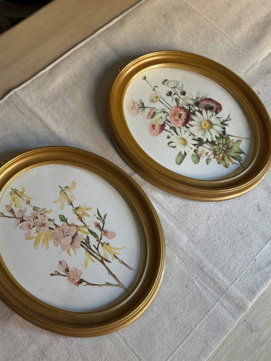 Vintage Inspired Matching Gold Acrylic Oval Frame Set with Prints - Pair