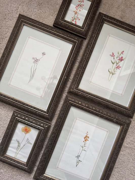 Vintage Styled Flower Gallery Wall Set with Matching Unique Frames ( x 5 )