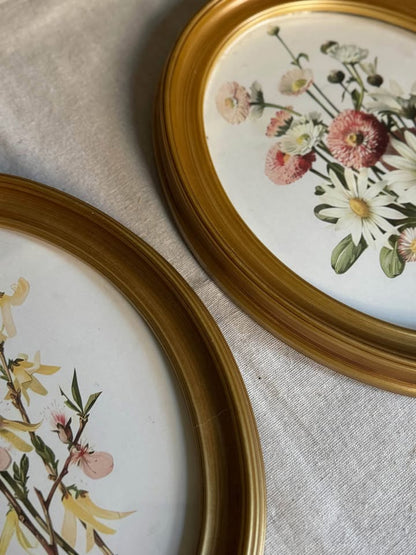 Vintage Inspired Matching Gold Acrylic Oval Frame Set with Prints - Pair