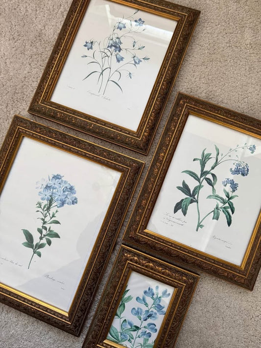 Vintage Styled Flower Gallery Wall Set with Matching Unique Gold  Frames ( x 4)