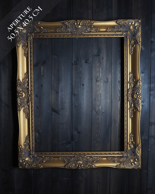 The Ibiza Collection – Vintage Gilt French Louis-Style Ornate Gold Frames A