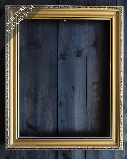 Vintage Mix of Gold Matching Frame Collection– Job lot ( 4 )- Elegant Wall Set