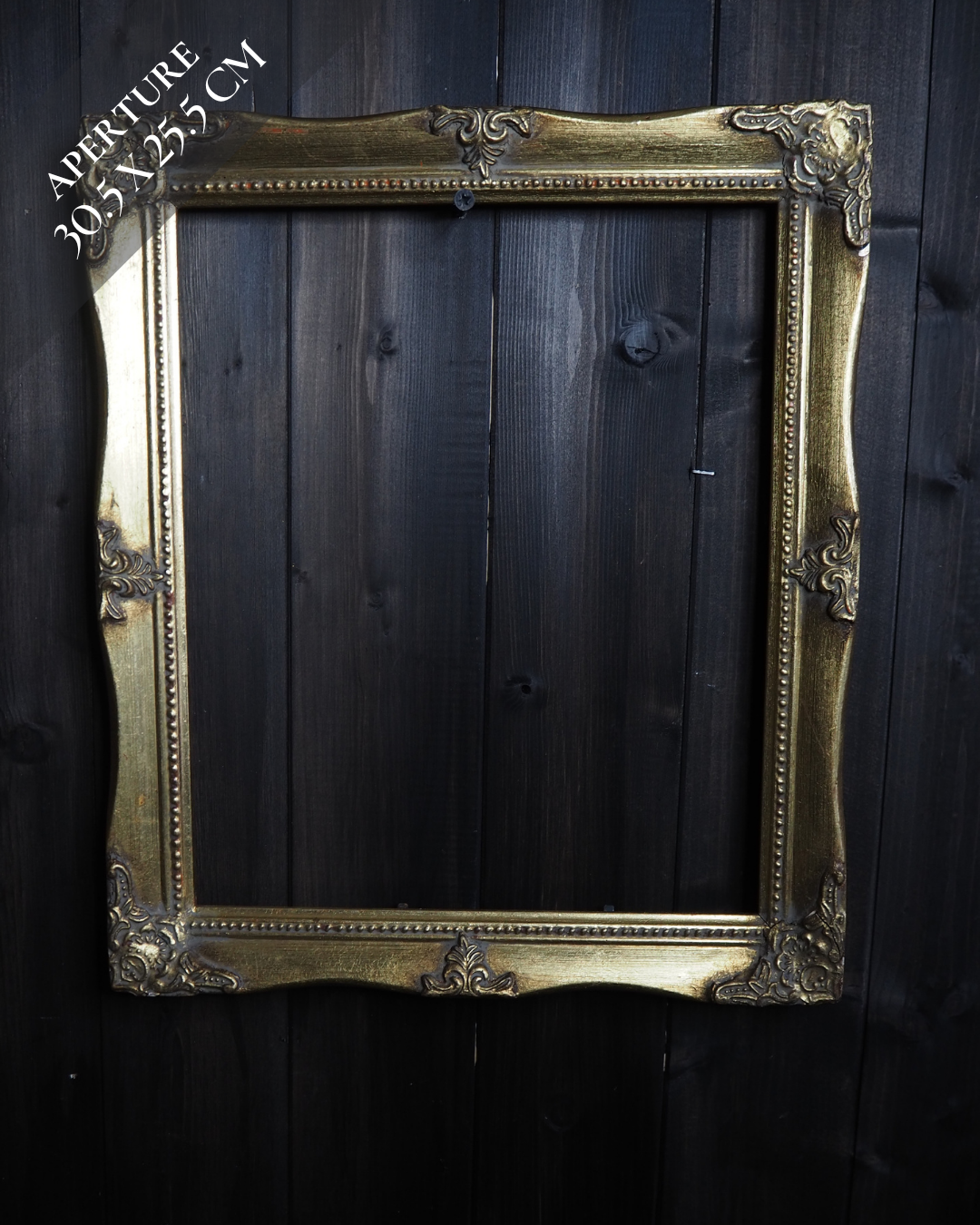 The Mirellan – Vintage Gilt Wood Frame Collection S/M