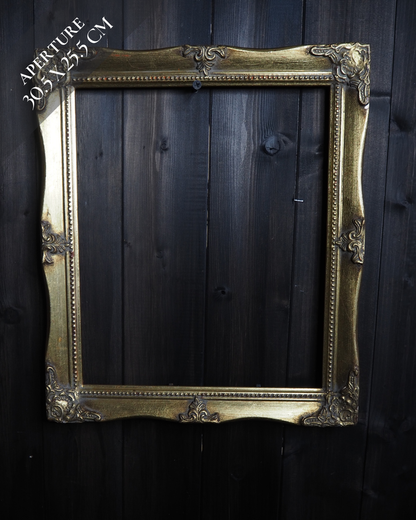 The Mirellan – Vintage Gilt Wood Frame Collection S/M