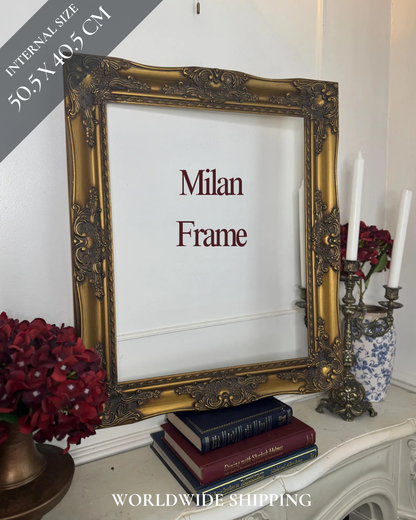Vintage Gilt French Louis-Style Ornate Ornate Gold Frame - Medium- Frame Milan
