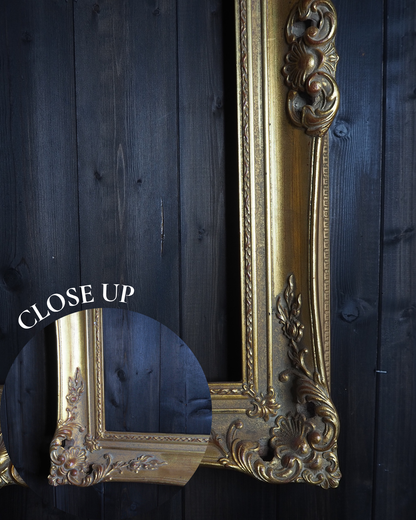 The Czech Royalty - Vintage Gold Chippendale Frame Collection C