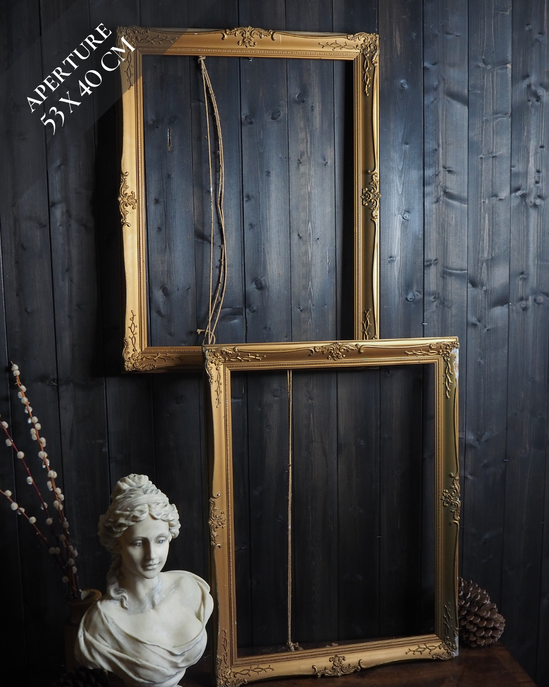 The English Manor - Ornate Gold Frame Pair, French Louis Style