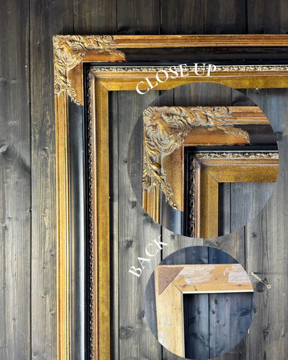 XXL Large Vintage Ornate French Style Gilt Frames Collection