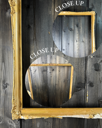 Antique Gilt Decorative Slim Norvane Frame - France