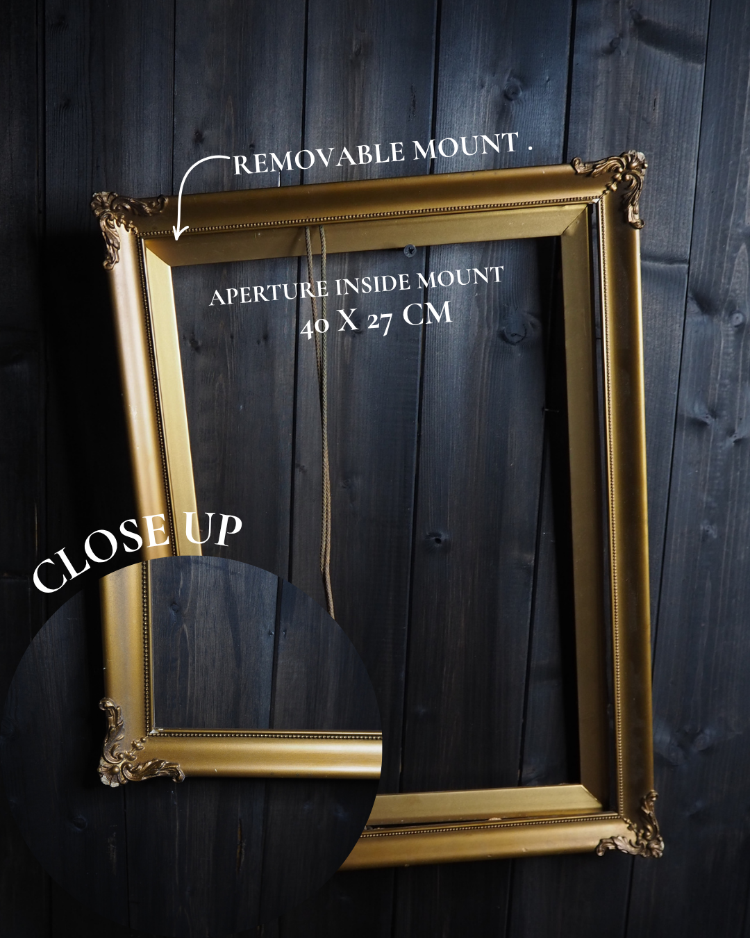 The Amboise- Antique Chip End Ornate Gold Gilt frame