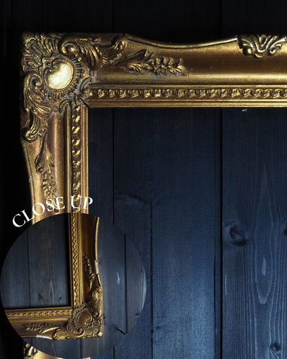 The Sorélle – Vintage Gold Louis Style Ornate Small Frame Collection