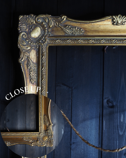 The Sorélle – Vintage Gold Louis Style Ornate Small Frame Collection