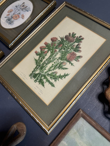 The Heritage Green Barnhouse Vintage Gallery Wall Set