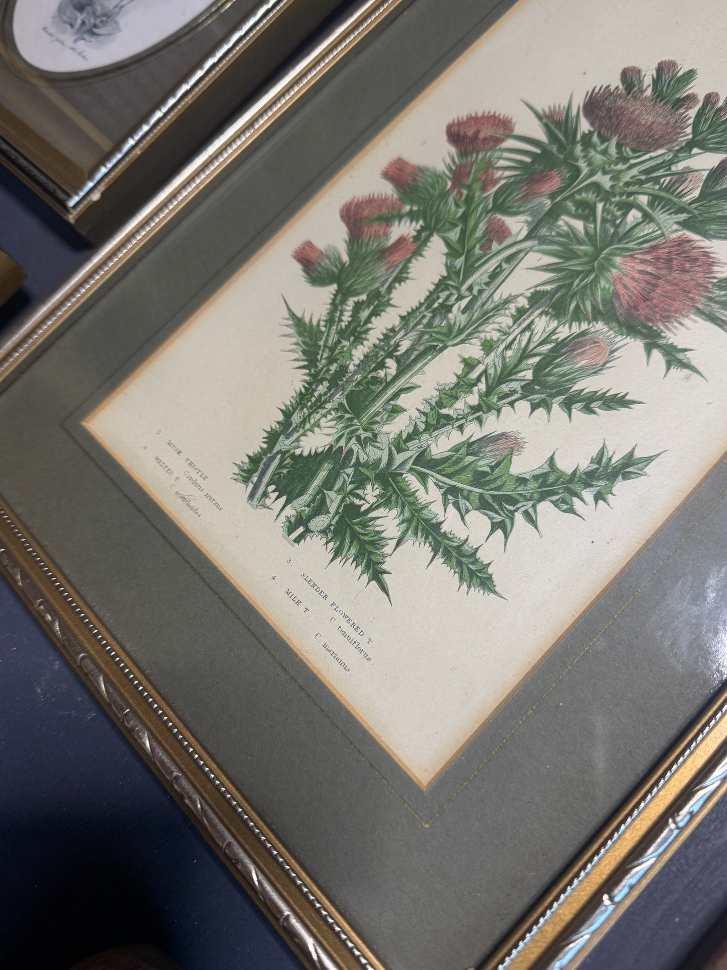 The Heritage Green Barnhouse Vintage Gallery Wall Set