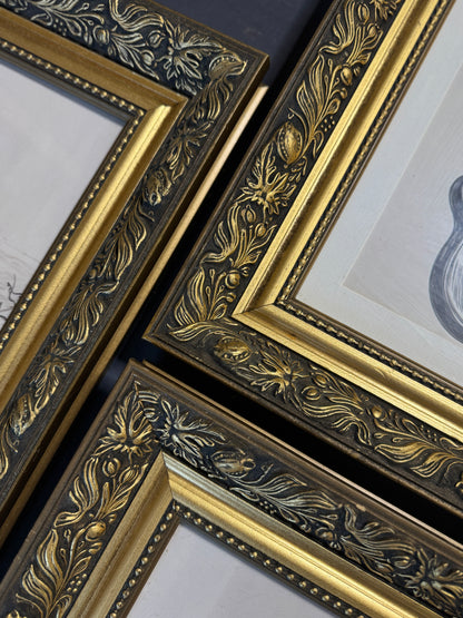 Vintage Texas Themed  Prints in Belvoir Ornate Gold Frames