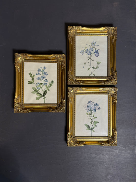 Ornate Gold Louis-Style Frame – Blue Heritage Floral Print Gallery Set
