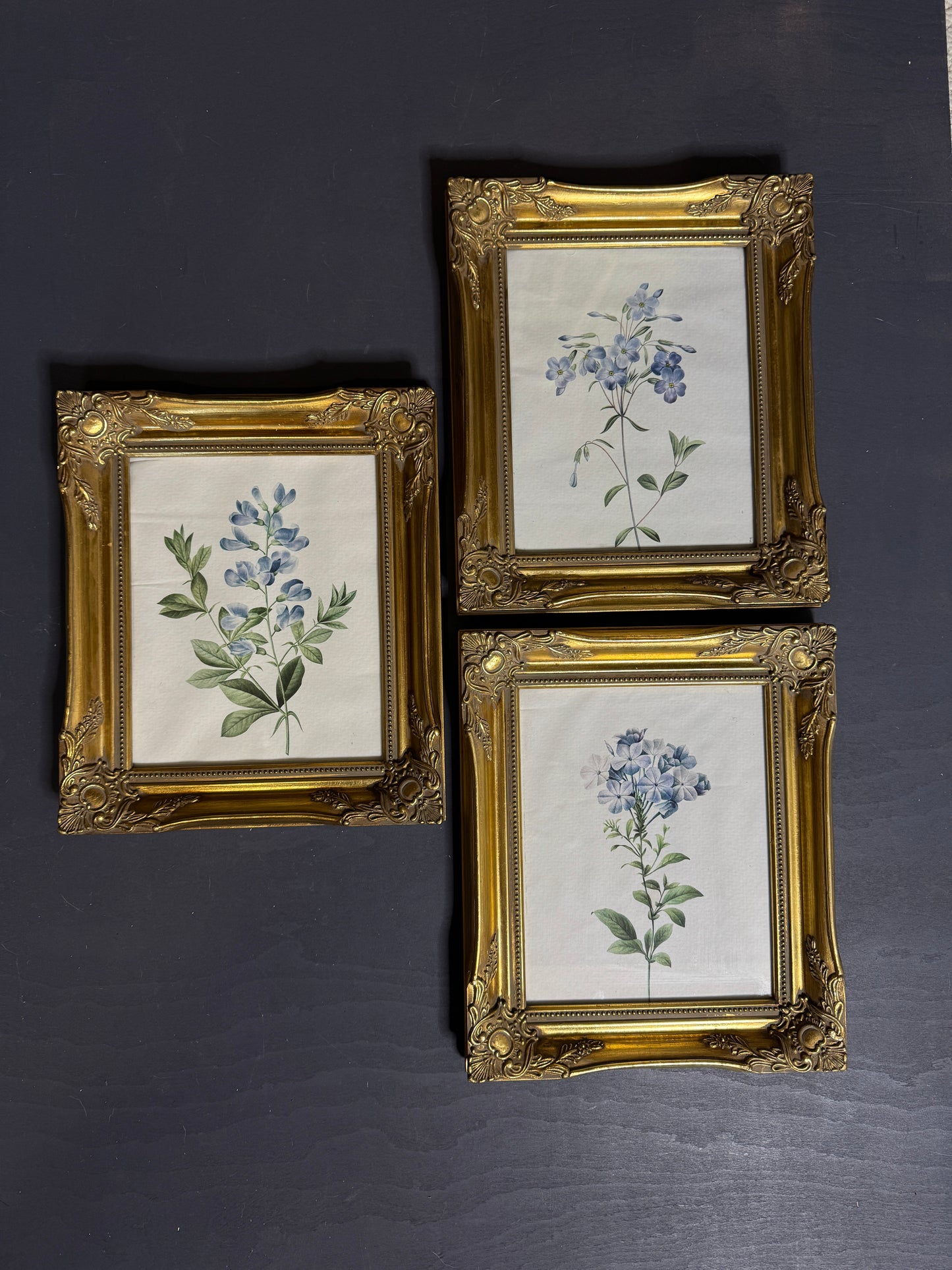 Ornate Gold Louis-Style Frame – Blue Heritage Floral Print Gallery Set
