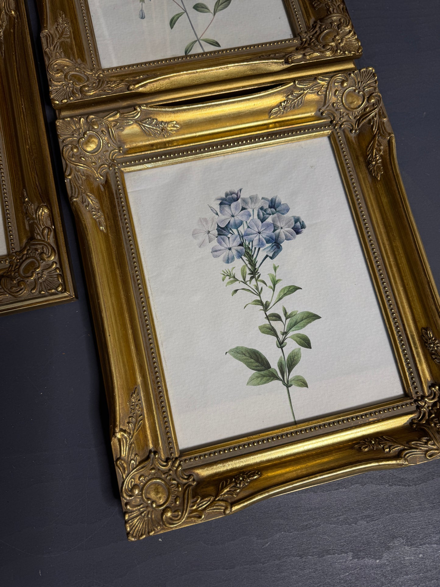 Ornate Gold Louis-Style Frame – Blue Heritage Floral Print Gallery Set