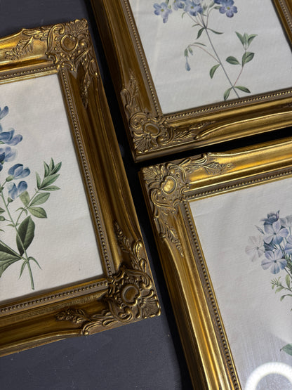 Ornate Gold Louis-Style Frame – Blue Heritage Floral Print Gallery Set
