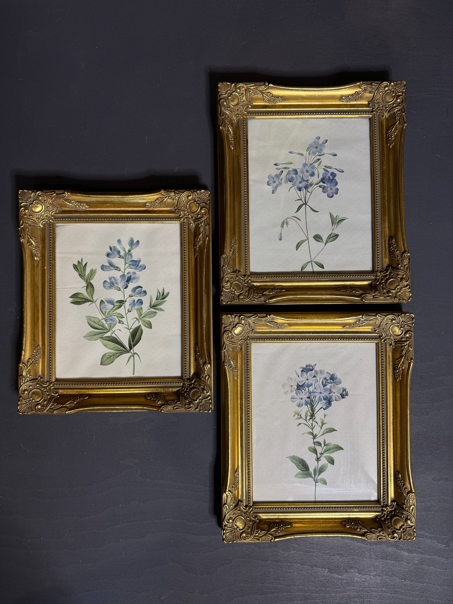 Ornate Gold Louis-Style Frame – Blue Heritage Floral Print Gallery Set