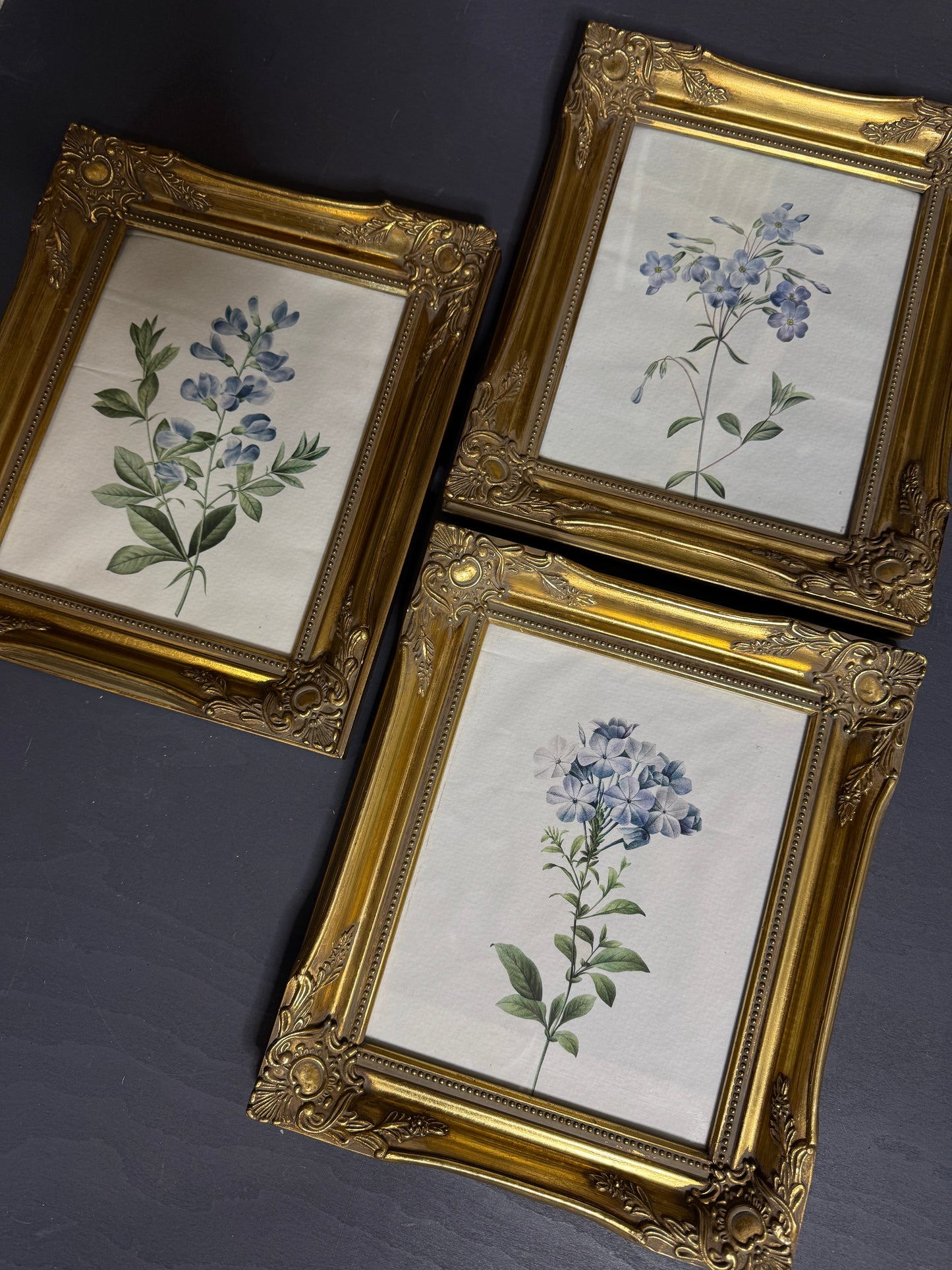 Ornate Gold Louis-Style Frame – Blue Heritage Floral Print Gallery Set