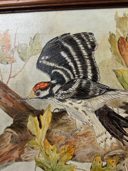 Feathered Serenity – Vintage Wildlife Portrait by N.G. Reynolds