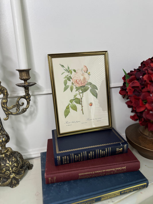 Vintage Flower Print in a Brass Frame - Small