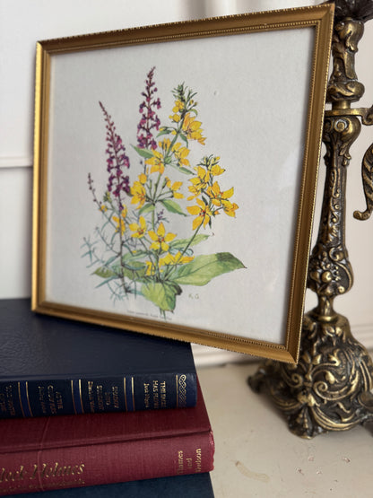 Vintage Flower Print in a Slim Gold Frame