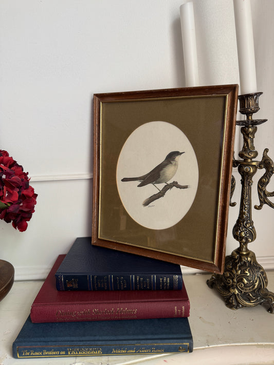 Vintage Bird Illustration in Slim Wooden Frame