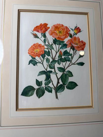 Vintage Signed Print Art Set in Matching Wooden Glazed Frame Pair