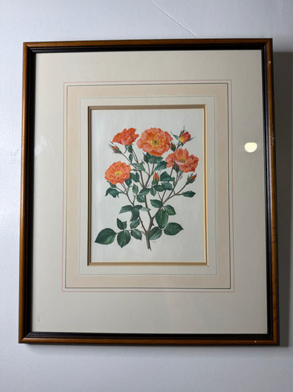 Vintage Signed Print Art Set in Matching Wooden Glazed Frame Pair