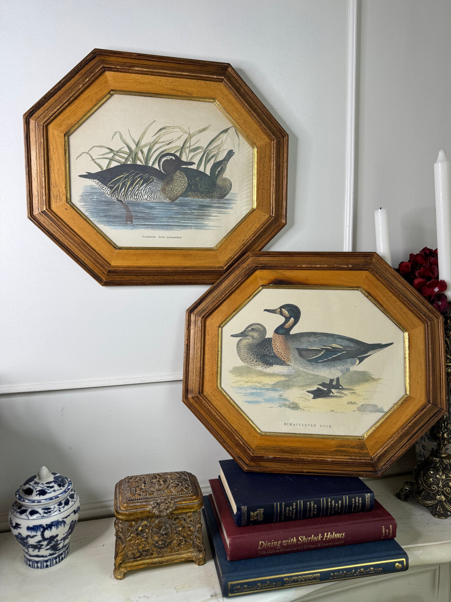 Feathered Pair – Vintage Duck Prints in Matching Wooden Frames