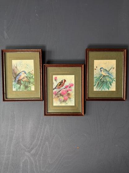 Wild Whimsy – Vintage Animal Gallery Set in Matching Frames
