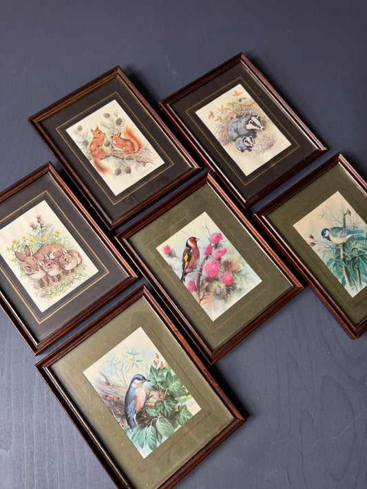 Wild Whimsy – Vintage Animal Gallery Set in Matching Frames