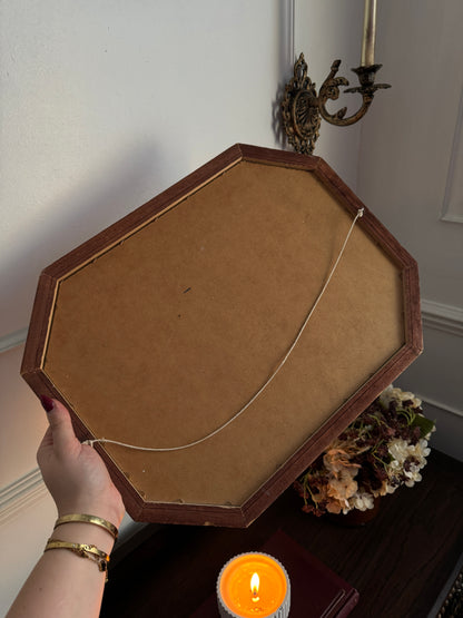 Vintage Farm Scenery Print Duo in Wooden Hexagon Frames